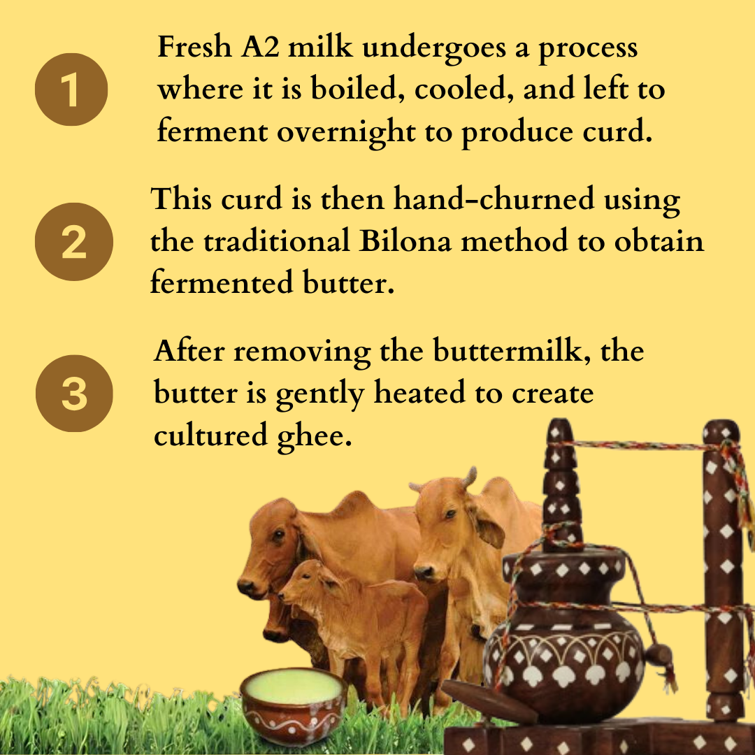 A2 Desi Gir Cow Ghee